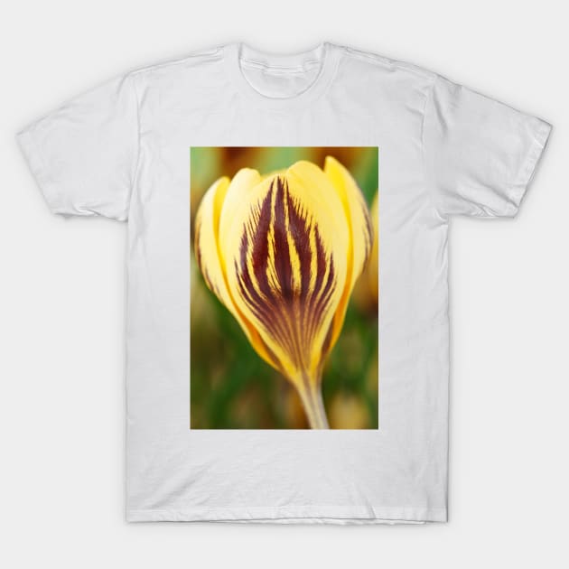 Crocus  &#39;Gipsy Girl&#39; T-Shirt by chrisburrows